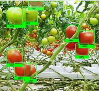 Mastering Data Annotation: 7 Best Practices for Accuracy, Speed & Avoiding Mistakes.